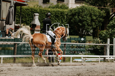 © Niki Buchegger, turnier-fotos.at
