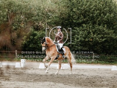 © Niki Buchegger, turnier-fotos.at