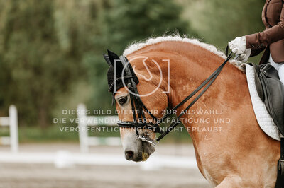 © Niki Buchegger, turnier-fotos.at