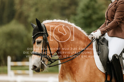 © Niki Buchegger, turnier-fotos.at