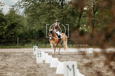 © Niki Buchegger, turnier-fotos.at