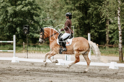 © Niki Buchegger, turnier-fotos.at
