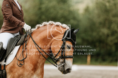 © Niki Buchegger, turnier-fotos.at