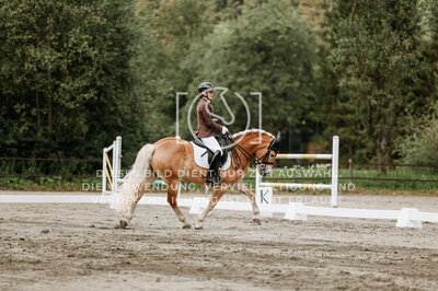 © Niki Buchegger, turnier-fotos.at