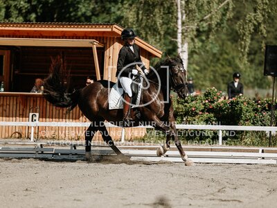 © Niki Buchegger, turnier-fotos.at