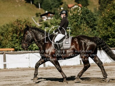 © Niki Buchegger, turnier-fotos.at
