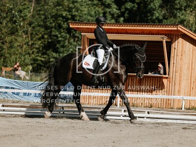 © Niki Buchegger, turnier-fotos.at