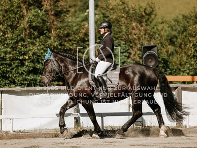 © Niki Buchegger, turnier-fotos.at