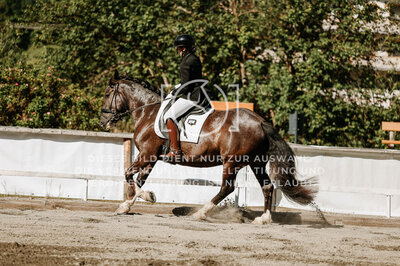 © Niki Buchegger, turnier-fotos.at