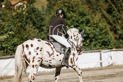 © Niki Buchegger, turnier-fotos.at