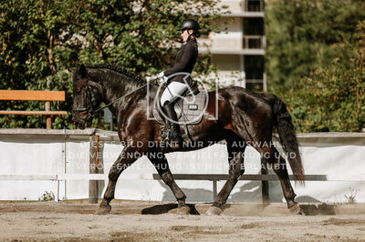© Niki Buchegger, turnier-fotos.at