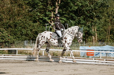 © Niki Buchegger, turnier-fotos.at