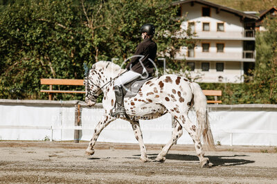 © Niki Buchegger, turnier-fotos.at
