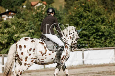 © Niki Buchegger, turnier-fotos.at