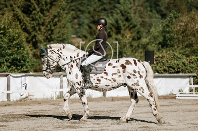 © Niki Buchegger, turnier-fotos.at
