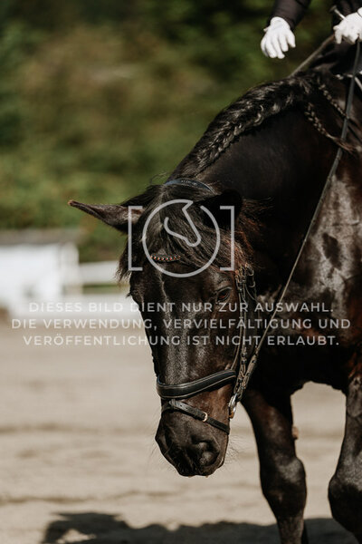 © Niki Buchegger, turnier-fotos.at