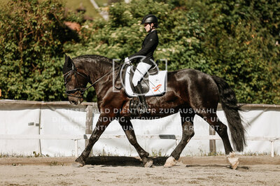 © Niki Buchegger, turnier-fotos.at