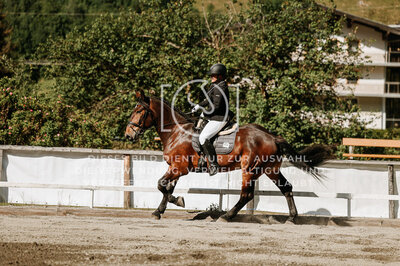 © Niki Buchegger, turnier-fotos.at