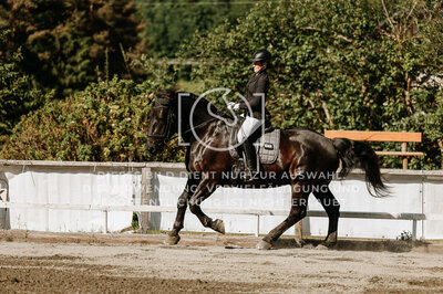 © Niki Buchegger, turnier-fotos.at