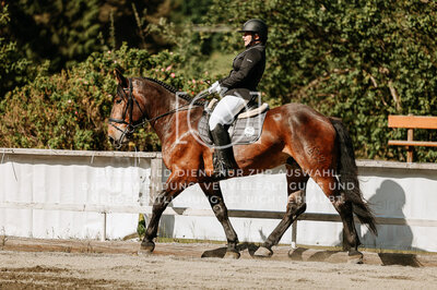 © Niki Buchegger, turnier-fotos.at
