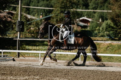 © Niki Buchegger, turnier-fotos.at