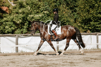 © Niki Buchegger, turnier-fotos.at