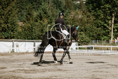 © Niki Buchegger, turnier-fotos.at