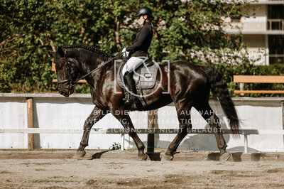 © Niki Buchegger, turnier-fotos.at
