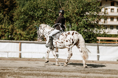 © Niki Buchegger, turnier-fotos.at