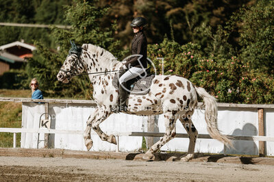 © Niki Buchegger, turnier-fotos.at