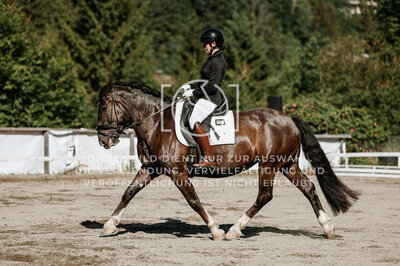 © Niki Buchegger, turnier-fotos.at