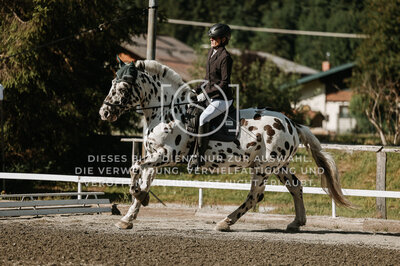 © Niki Buchegger, turnier-fotos.at