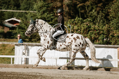 © Niki Buchegger, turnier-fotos.at