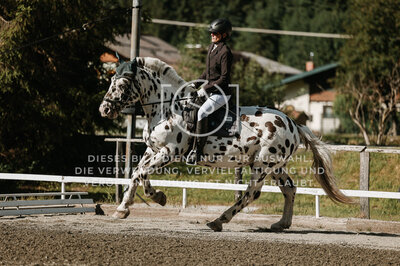 © Niki Buchegger, turnier-fotos.at