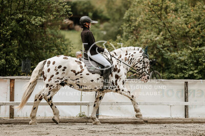 © Niki Buchegger, turnier-fotos.at