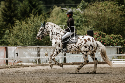 © Niki Buchegger, turnier-fotos.at