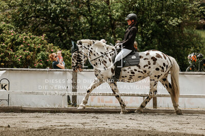 © Niki Buchegger, turnier-fotos.at