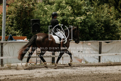 © Niki Buchegger, turnier-fotos.at