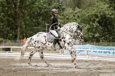 © Niki Buchegger, turnier-fotos.at