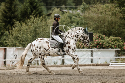 © Niki Buchegger, turnier-fotos.at