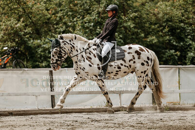 © Niki Buchegger, turnier-fotos.at