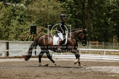 © Niki Buchegger, turnier-fotos.at