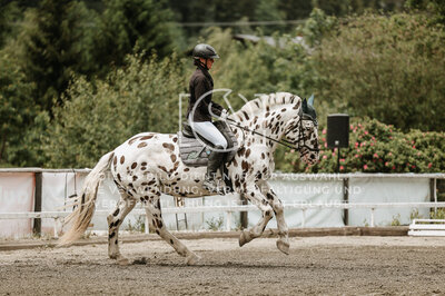 © Niki Buchegger, turnier-fotos.at
