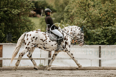 © Niki Buchegger, turnier-fotos.at