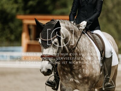 © Niki Buchegger, turnier-fotos.at