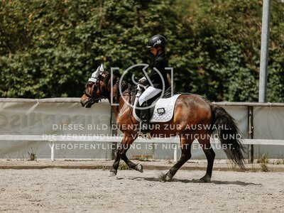 © Niki Buchegger, turnier-fotos.at