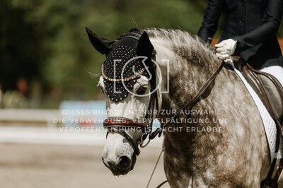 © Niki Buchegger, turnier-fotos.at