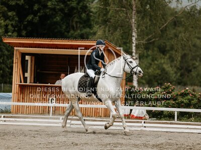 © Niki Buchegger, turnier-fotos.at