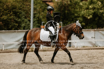 © Niki Buchegger, turnier-fotos.at