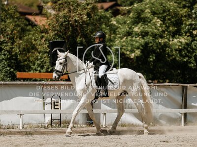© Niki Buchegger, turnier-fotos.at